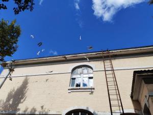 13-uolYa83vKzRCOCWgIgcN5UhadQkd-tNYWuXS4ccWz4y82VTOwfHJkZ5D9yfNYhMiljh8j3SA7H0n9